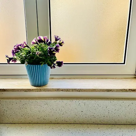 Cozy Charming In Old Bakery Street La Valeta