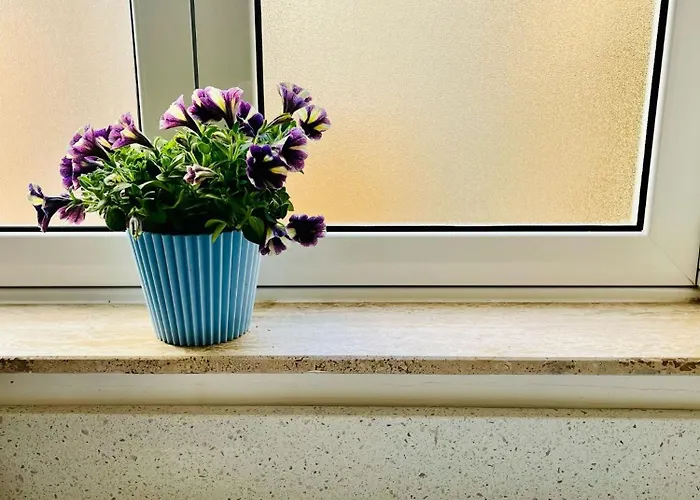 Cozy Charming In Old Bakery Street Valletta